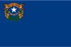 Nevada флаг