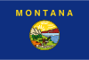 Montana флаг